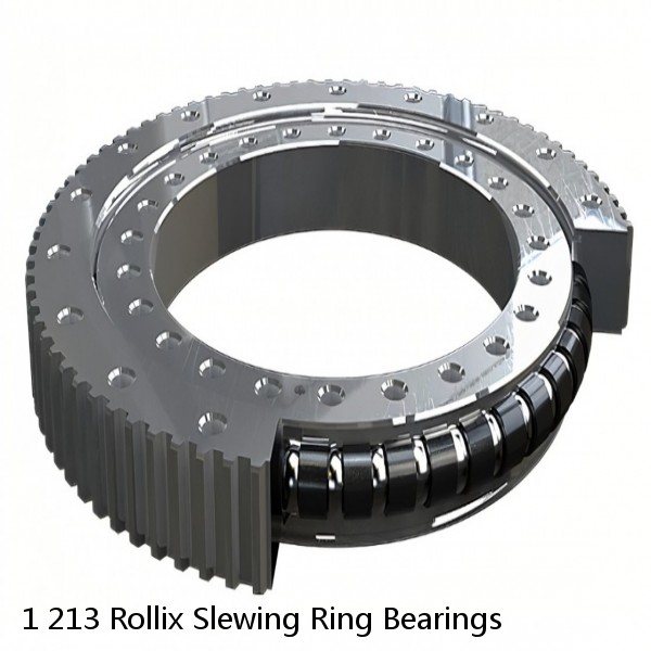 1 213 Rollix Slewing Ring Bearings