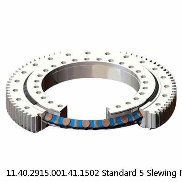11.40.2915.001.41.1502 Standard 5 Slewing Ring Bearings