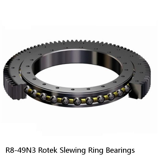 R8-49N3 Rotek Slewing Ring Bearings