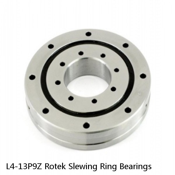 L4-13P9Z Rotek Slewing Ring Bearings
