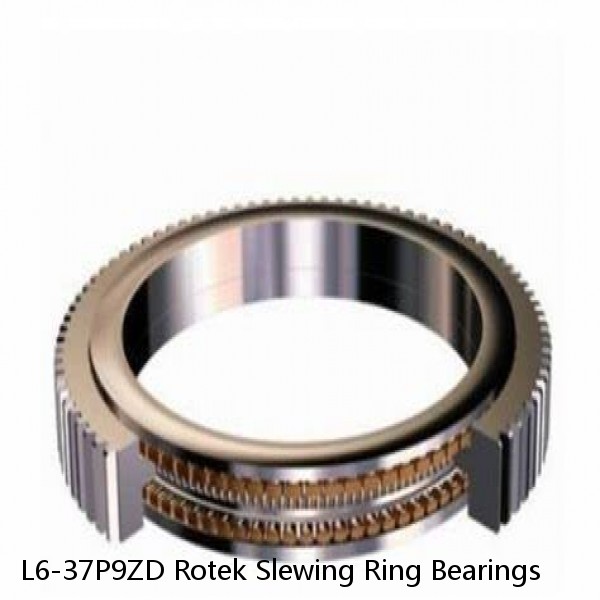 L6-37P9ZD Rotek Slewing Ring Bearings