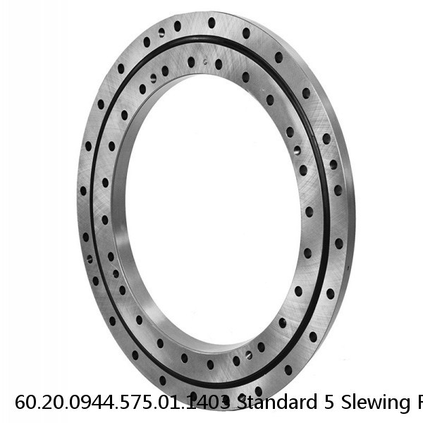 60.20.0944.575.01.1403 Standard 5 Slewing Ring Bearings