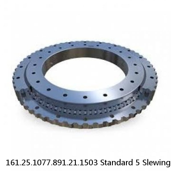 161.25.1077.891.21.1503 Standard 5 Slewing Ring Bearings