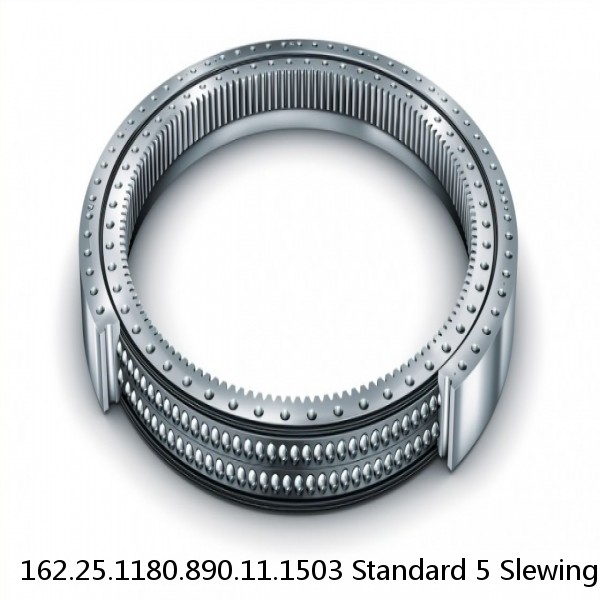 162.25.1180.890.11.1503 Standard 5 Slewing Ring Bearings