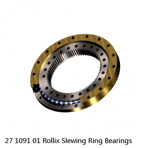 27 1091 01 Rollix Slewing Ring Bearings