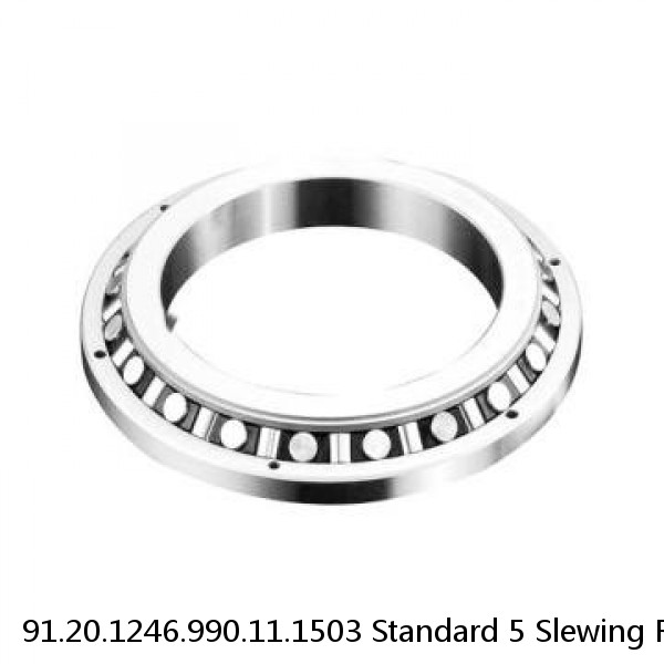 91.20.1246.990.11.1503 Standard 5 Slewing Ring Bearings #1 image
