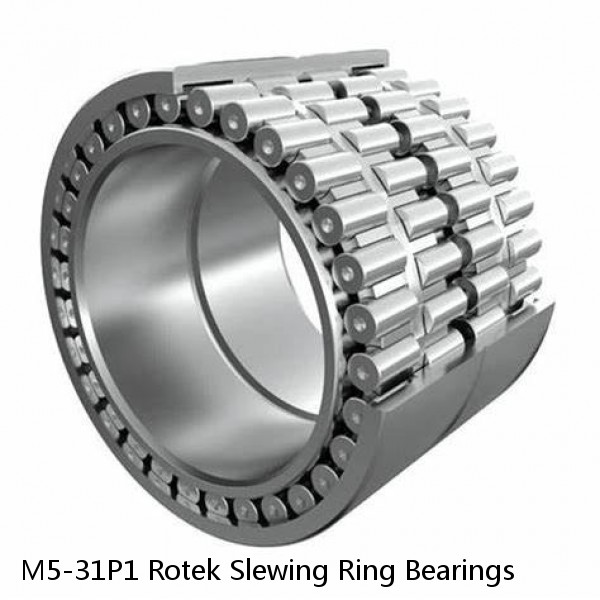 M5-31P1 Rotek Slewing Ring Bearings #1 image