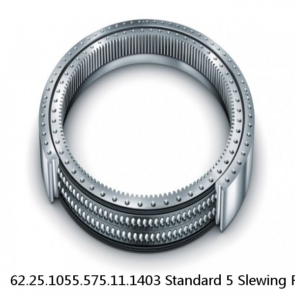 62.25.1055.575.11.1403 Standard 5 Slewing Ring Bearings #1 image