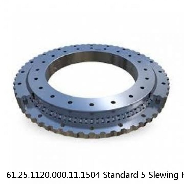 61.25.1120.000.11.1504 Standard 5 Slewing Ring Bearings #1 image