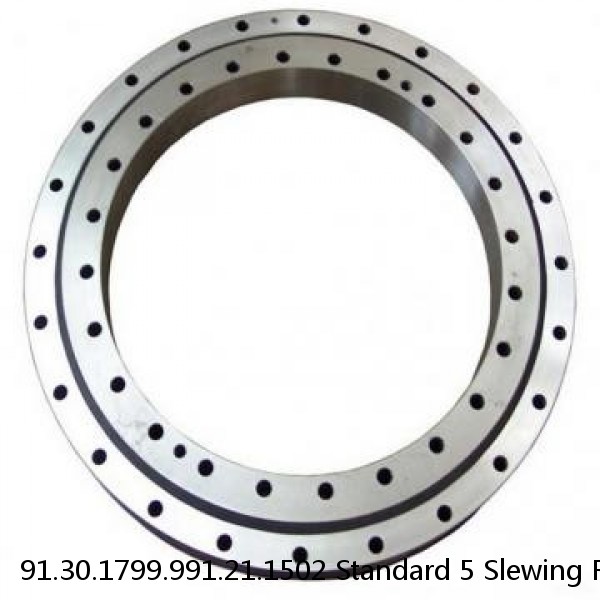 91.30.1799.991.21.1502 Standard 5 Slewing Ring Bearings #1 image