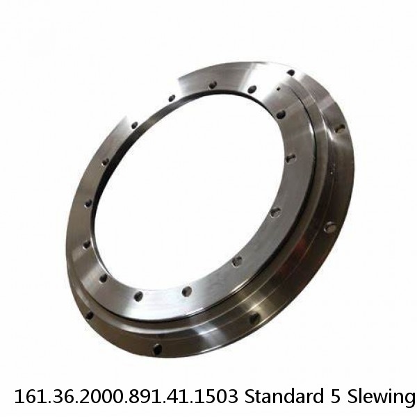 161.36.2000.891.41.1503 Standard 5 Slewing Ring Bearings #1 image